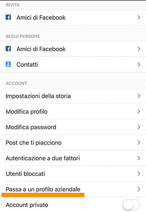 scopri come passare ad un profilo aziendale business su Instagram