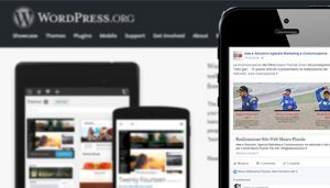 Grazie al plugin siti e blog potranno pubblicare gli articoli su Facebook in modo semplice grazie alla conversione dei post WordPress in Instant Articles