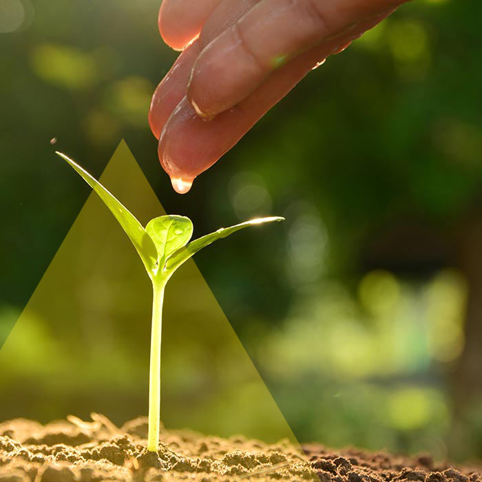 Per creare una strategia ci basiamo sull etica - Factory Communication