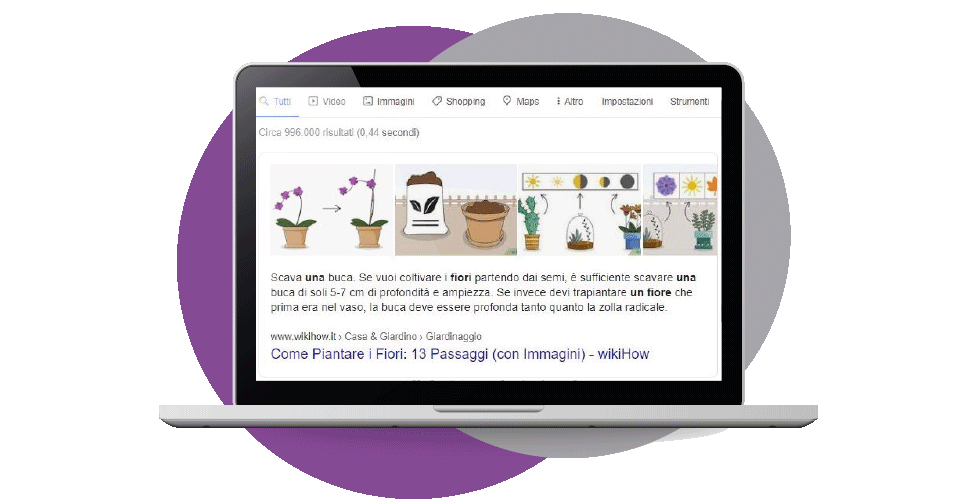 Risultati universali Google SERP esempio