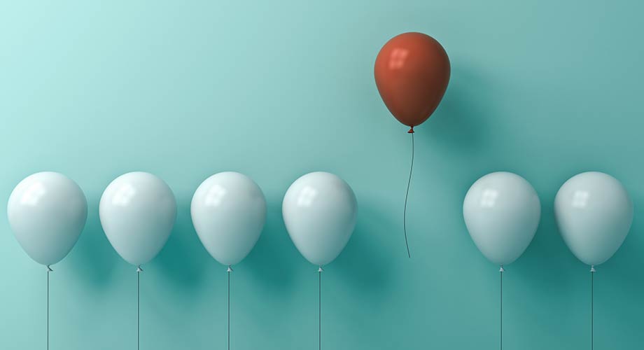 Scopri la strategia in 10 step per far decollare il tuo e-commerce nicchia di mercato