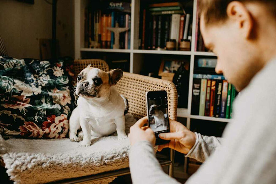 ragazzo fotografa un cane