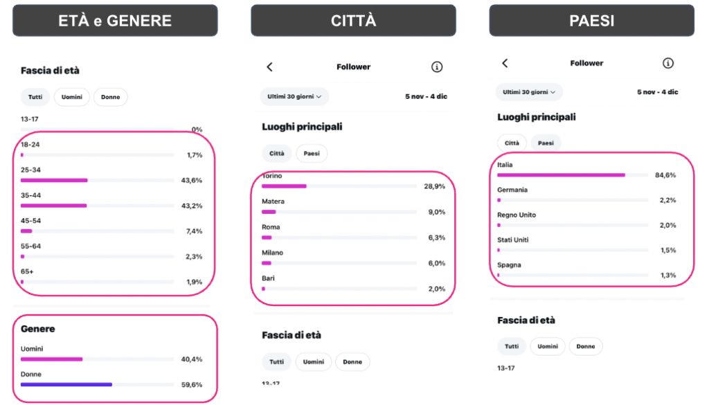 Instagram Insight città genere età