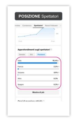 Linee Guida raccolta dei Social Insight Tik tok