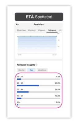 Tik tok Linee Guida dei Social Insight