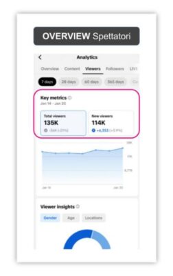 Tik tok Linee Guida raccolta Social Insight