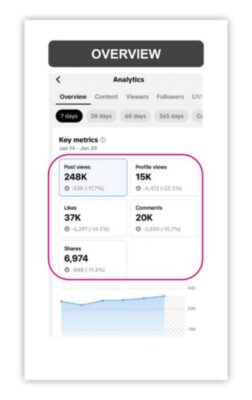 Tik tok Linee Guida raccolta dei Social Insight