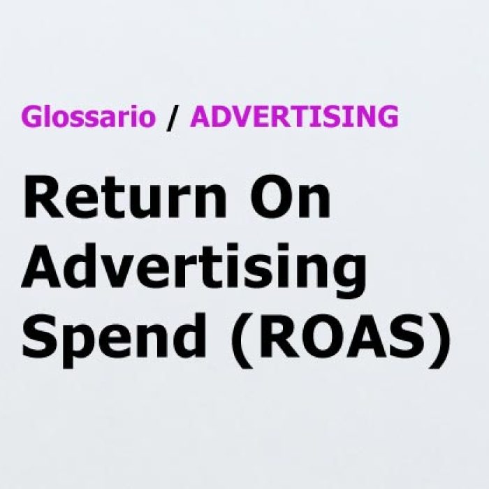 ROAS Return On Advertising Spend Glossario Advertising